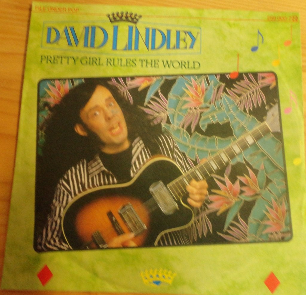 David Lindley > Pretty girl rules the world, Ophalen of Verzenden, Gebruikt, Pop
