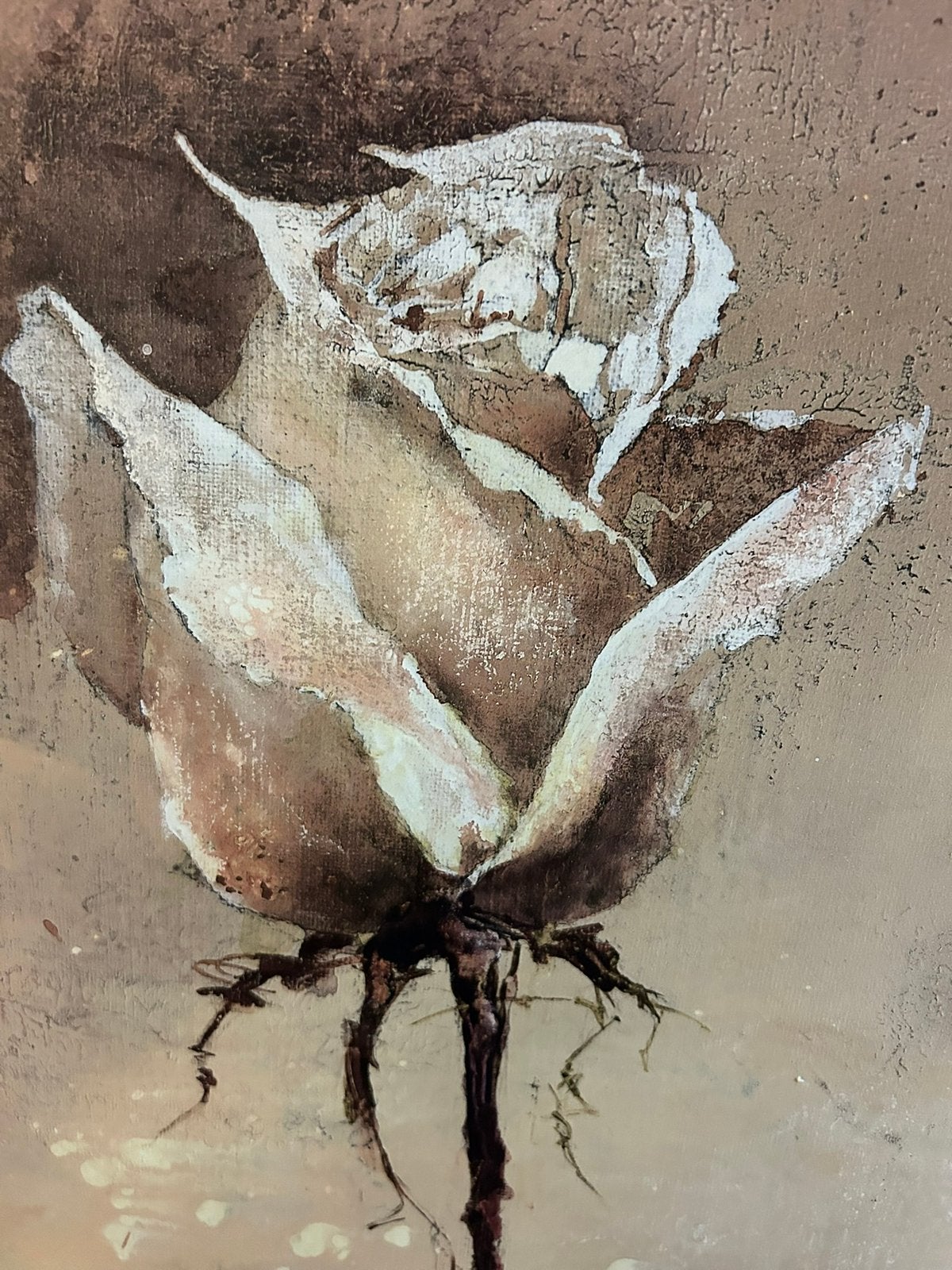 Schilderij met roos - Elegante wanddecoratie 80X80, Ophalen
