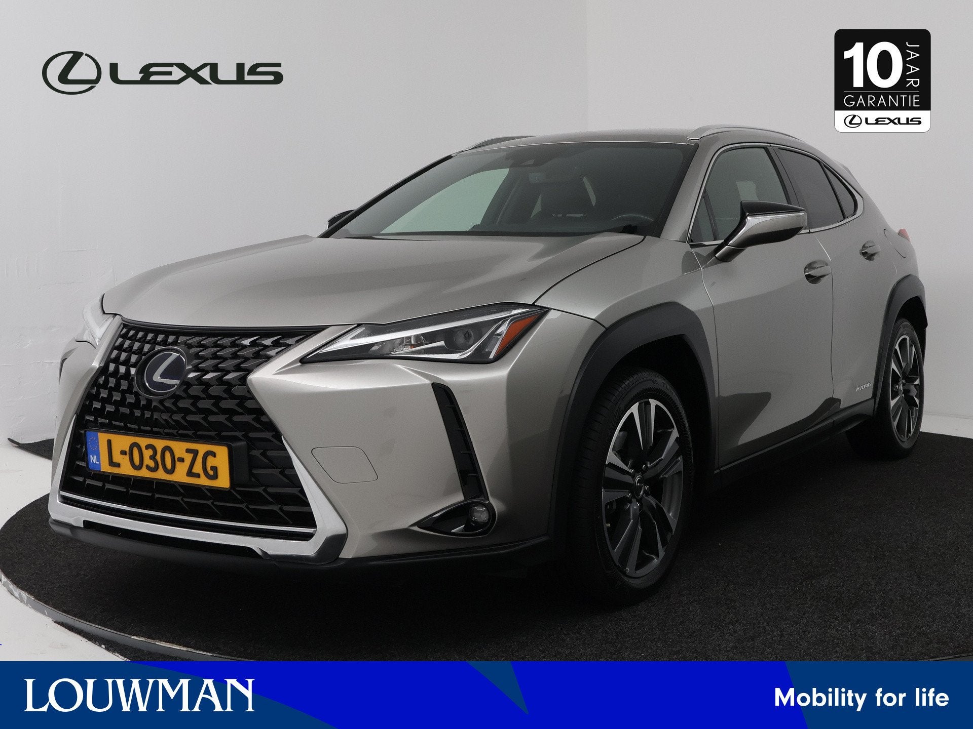 Lexus UX 250h Business Line (bj 2019, automaat), Auto's, 12 maanden, Gebruikt, 4 cilinders, Bedrijf