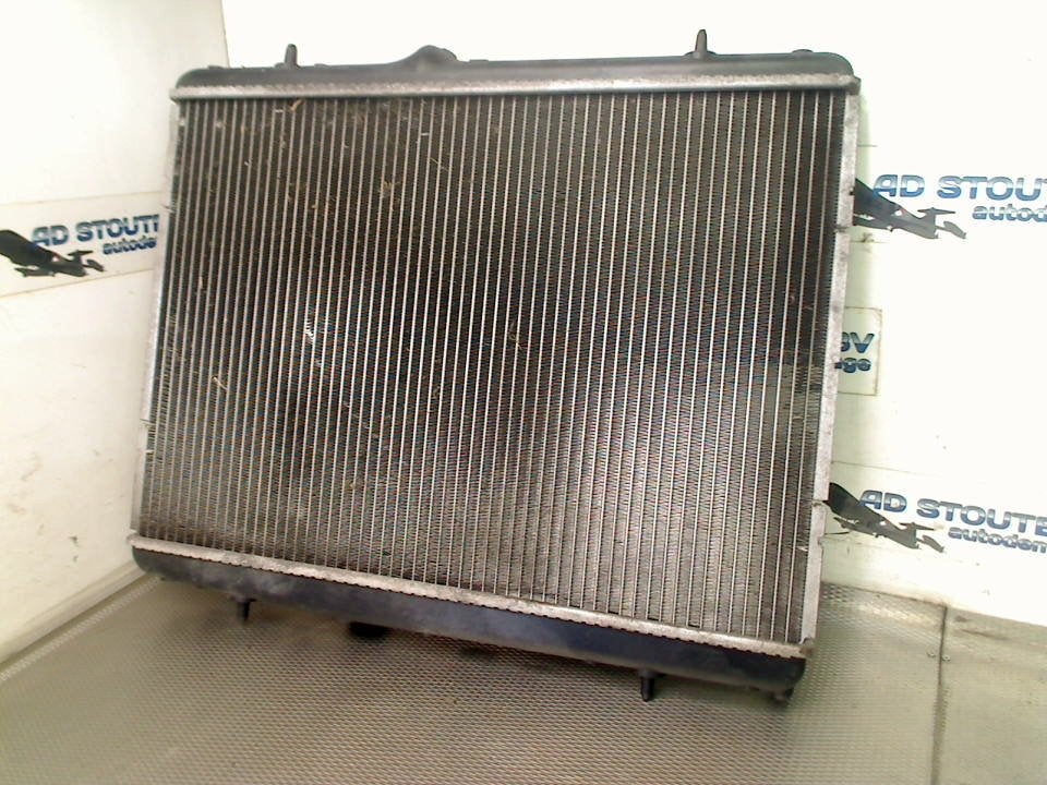 Radiateur Opel Crossland (X) (2017-03/..) 890960000, Gebruikt, Bahnhofsplatz, Rüsselsheim am Main 65423, , Duitsland, Opel, Opel Automobile GmbH