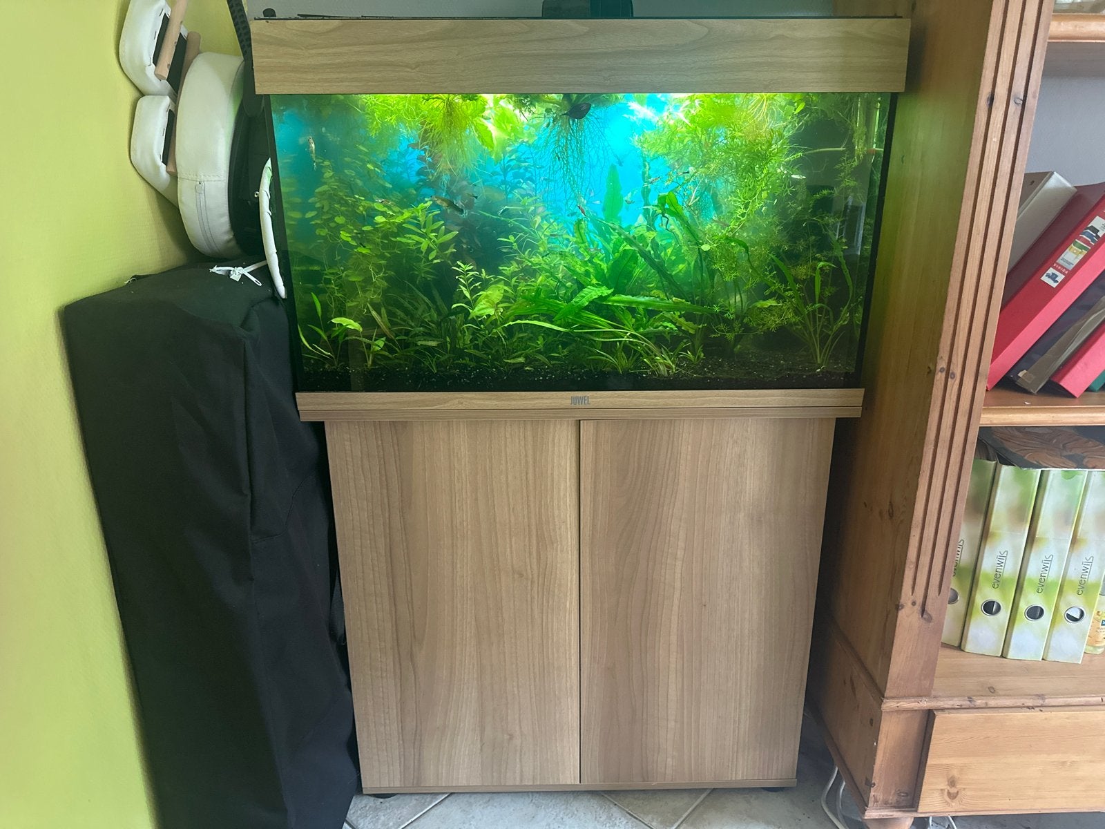 Juwel rio 125 led verwarming en binnenfilter, Ophalen, Inclusief vissen, Juwel, Gevuld zoetwateraquarium