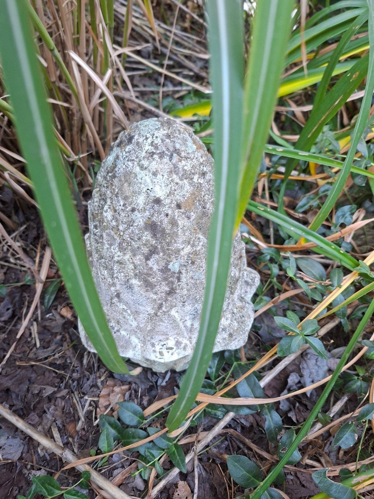 tuinbeeld eikel, Ophalen, Gebruikt, Beton, Overige typen