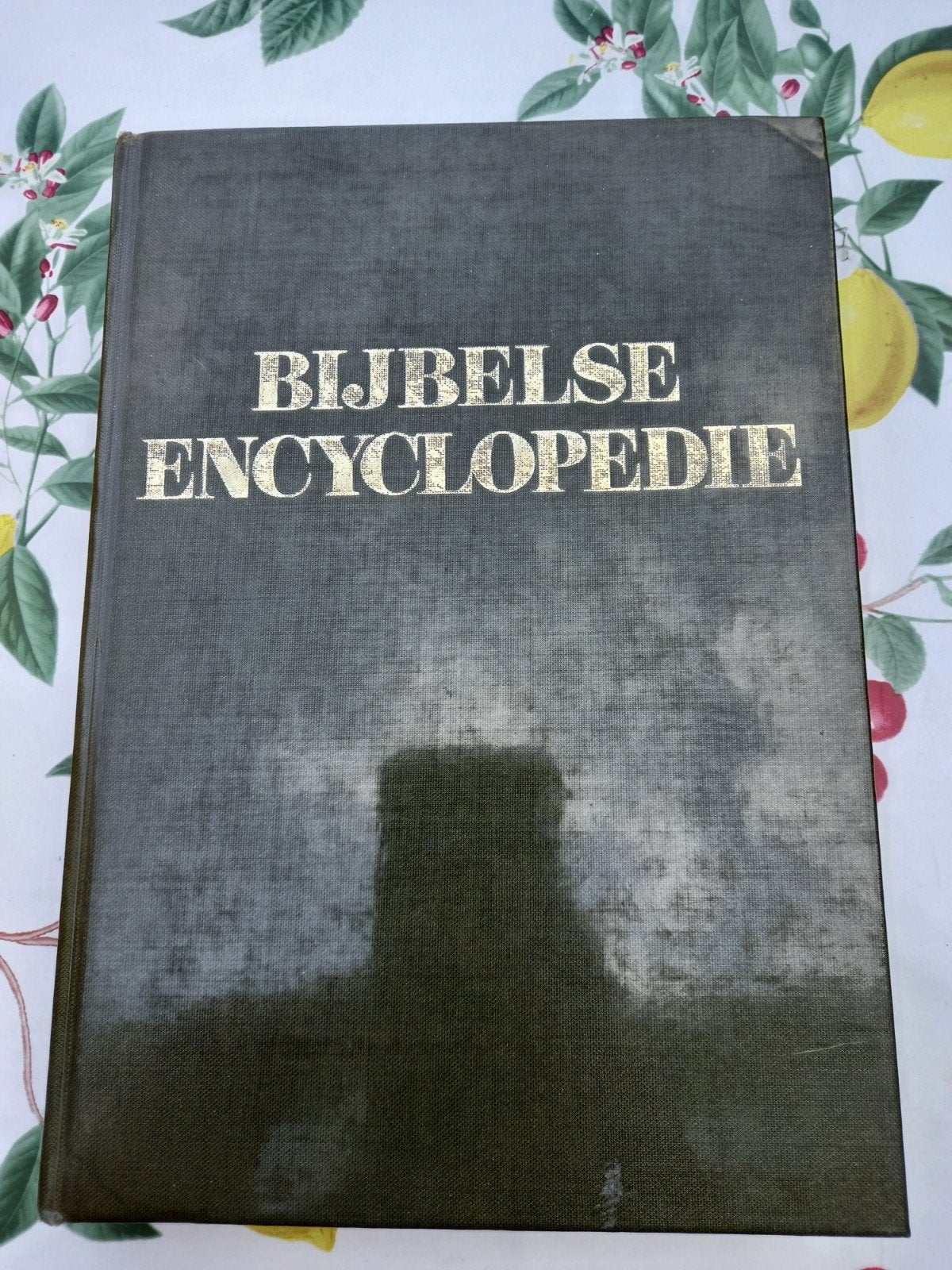 N Bijbelse Encyclopedie - Klassiek Naslagwerk, Boeken, Ophalen of Verzenden, Gelezen, Algemeen, Los deel