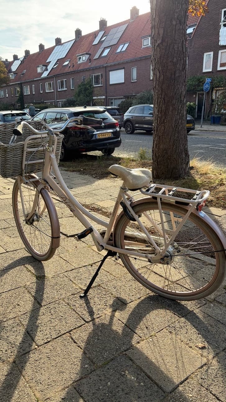Batavus Diva Damesfiets - Lichtroze met Mand