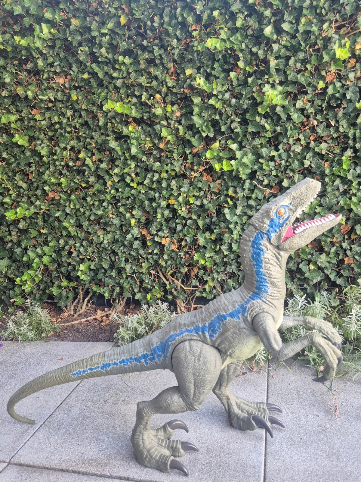Jurassic World kolossale Velociraptor Bleu GCT93, Ophalen, Gebruikt