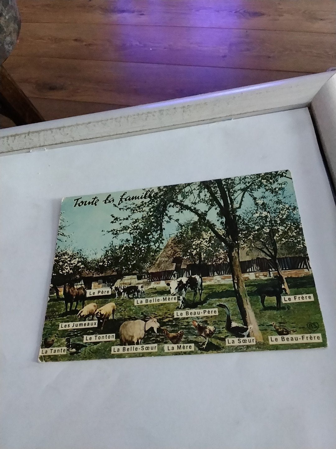 Oude Ansichtkaart: "Toute la famille" - Boerderijtafereel, Ophalen of Verzenden