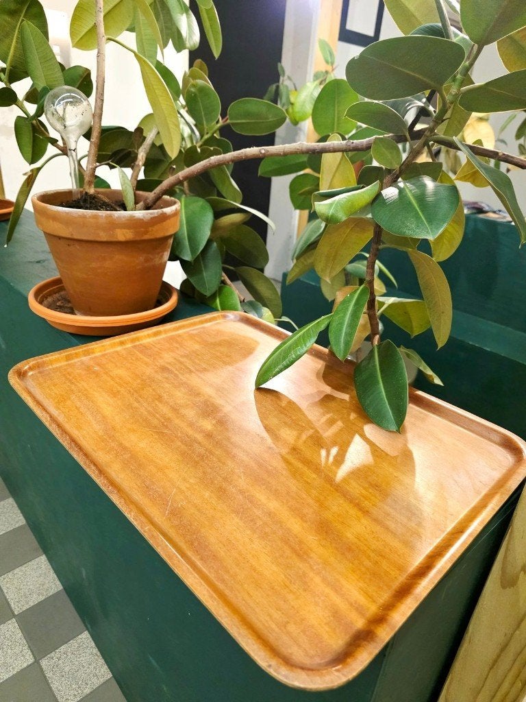 7739: Vintage Mid-Century Modern Teak Bentwood Serving Tray, Overige materialen, Gebruikt, Overige typen, Ophalen of Verzenden