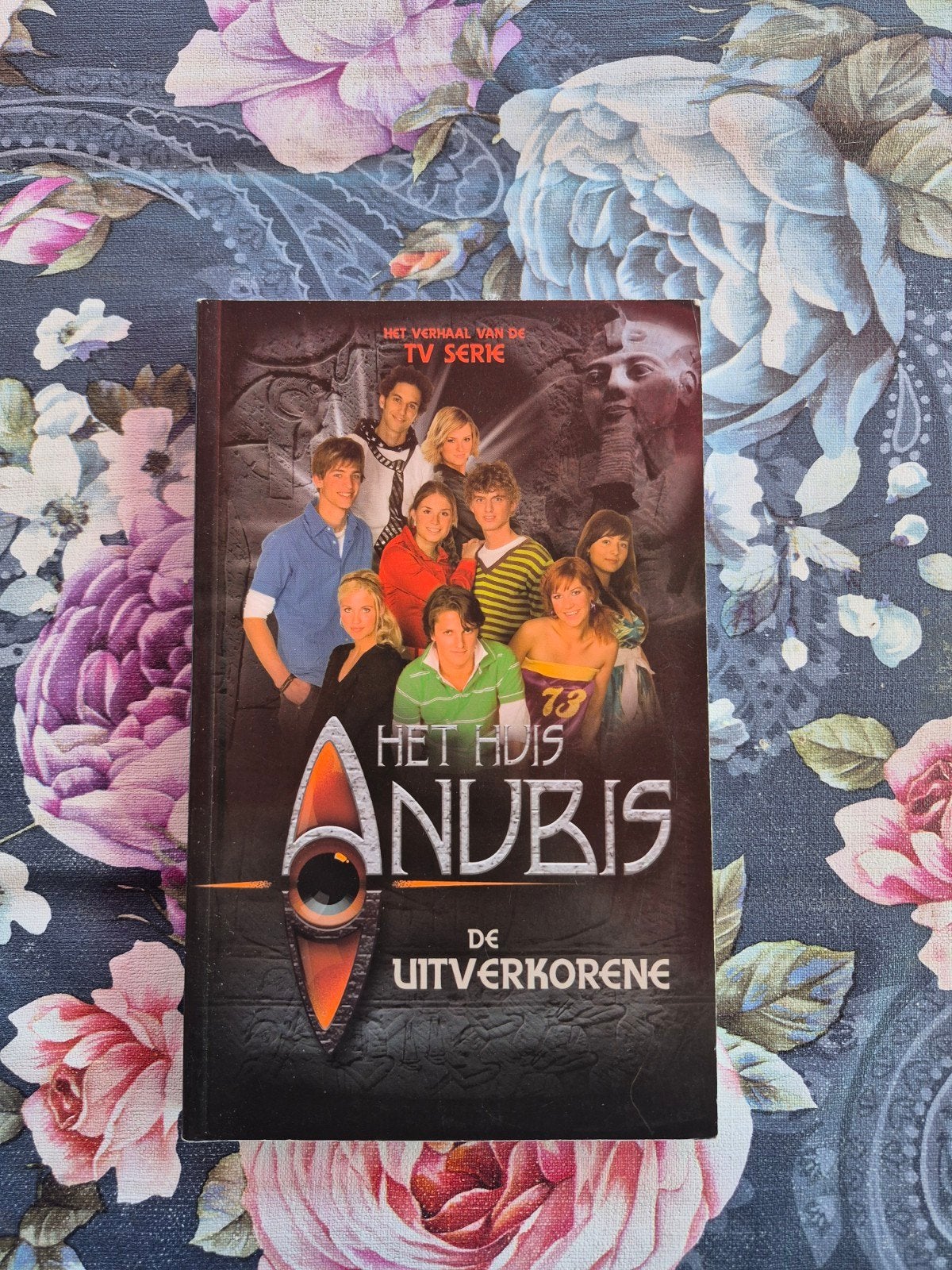 7 huis anubis boeken, Ophalen, Zo goed als nieuw, Fictie algemeen