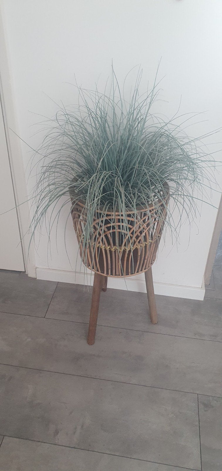 Plantenbak rotan, Tuin en Terras, Overige materialen, Minder dan 30 cm, Rond, Nieuw