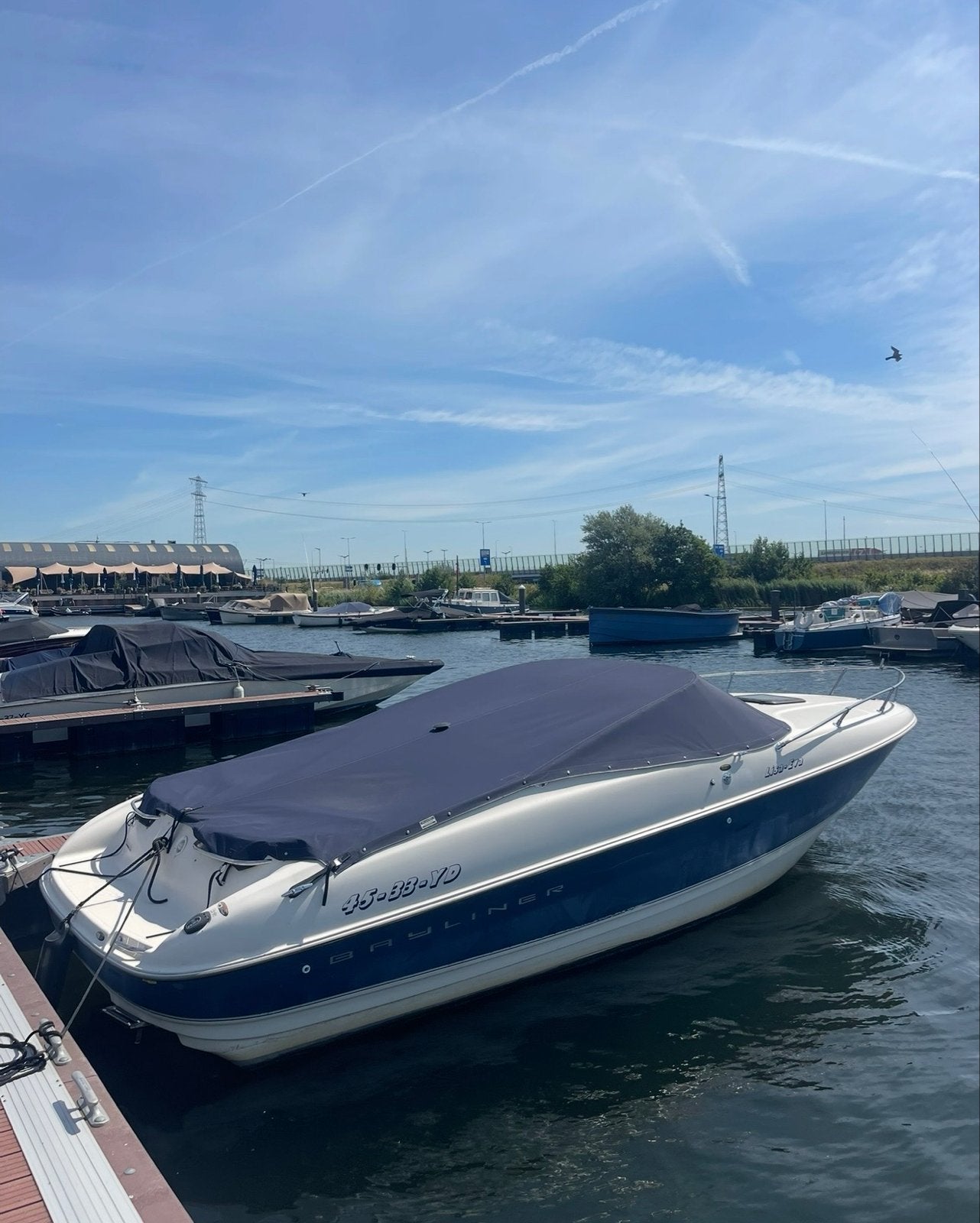 Bayliner 2352 LS Capri Cuddy - Zeer goed onderhouden, Ophalen, Gebruikt, Bayliner