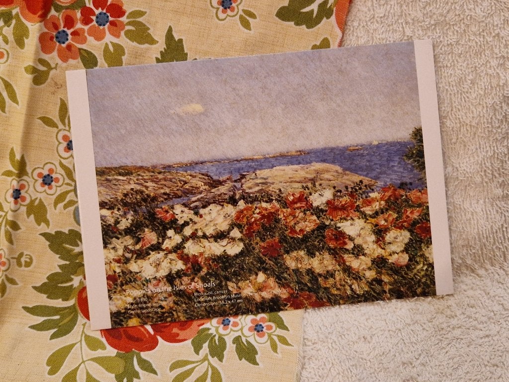 Ansichtkaart. "Poppies on the Isles of Shoals"., Ophalen of Verzenden, Nieuw, Papier/karton