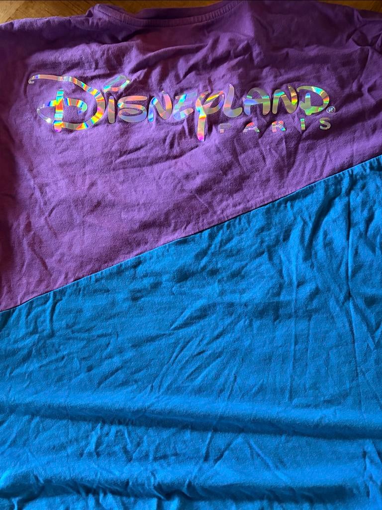 Disneyland Parijs 30 Jaar T-shirt Maat L, Ophalen of Verzenden, Gedragen, Maat 52/54 (L), Paars