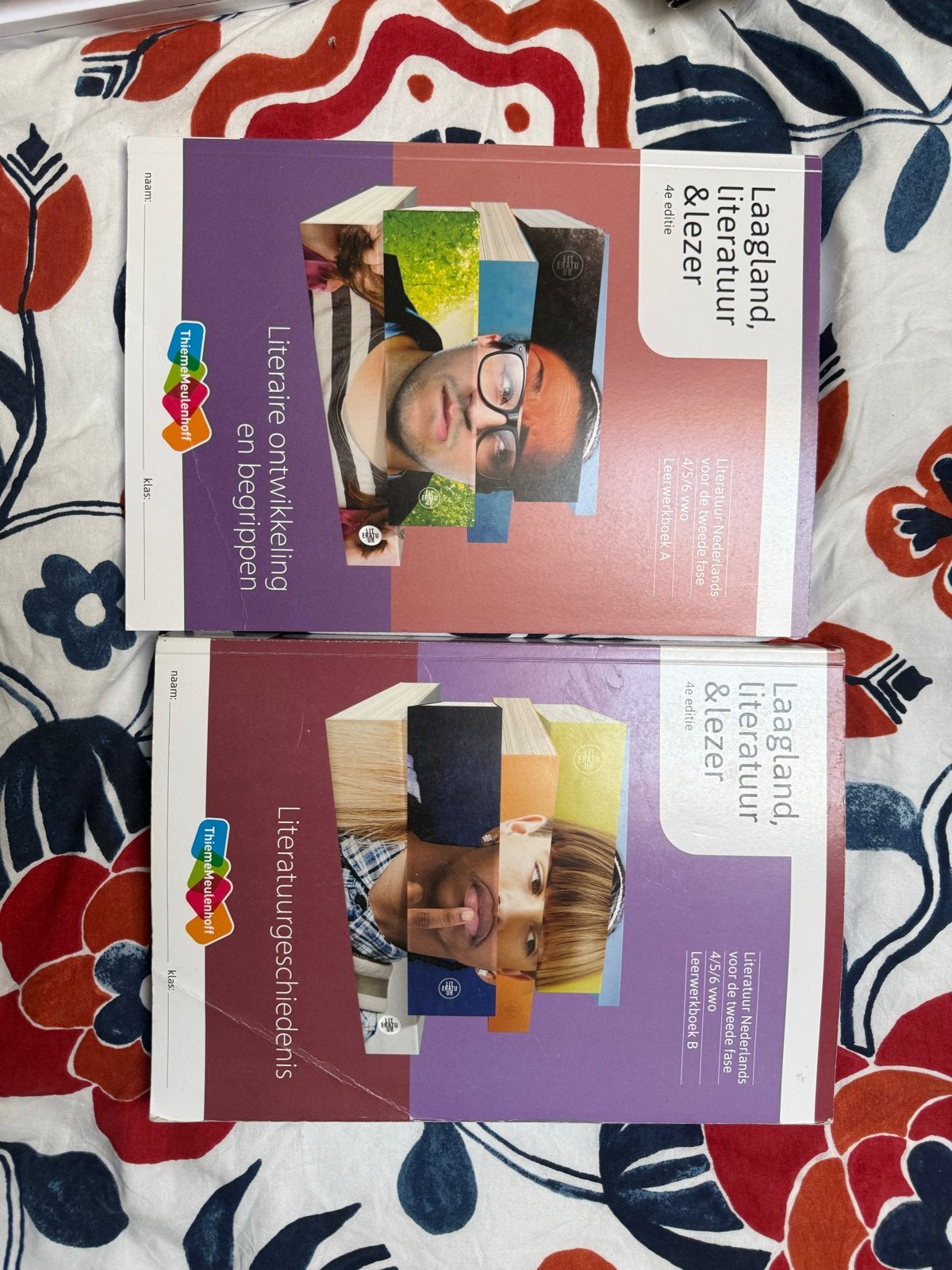 Laagland literatuur & lezer - boek a en b vwo 4/5/6, Boeken, Ophalen of Verzenden, Alpha, Zo goed als nieuw, WO