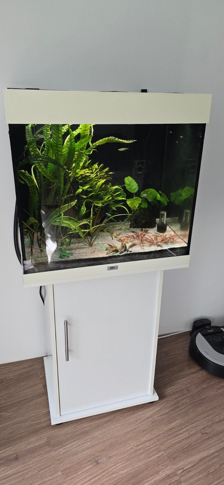 Juwel Aquarium set 180l, Ophalen, Gebruikt, Inclusief vissen, Gevuld zoetwateraquarium