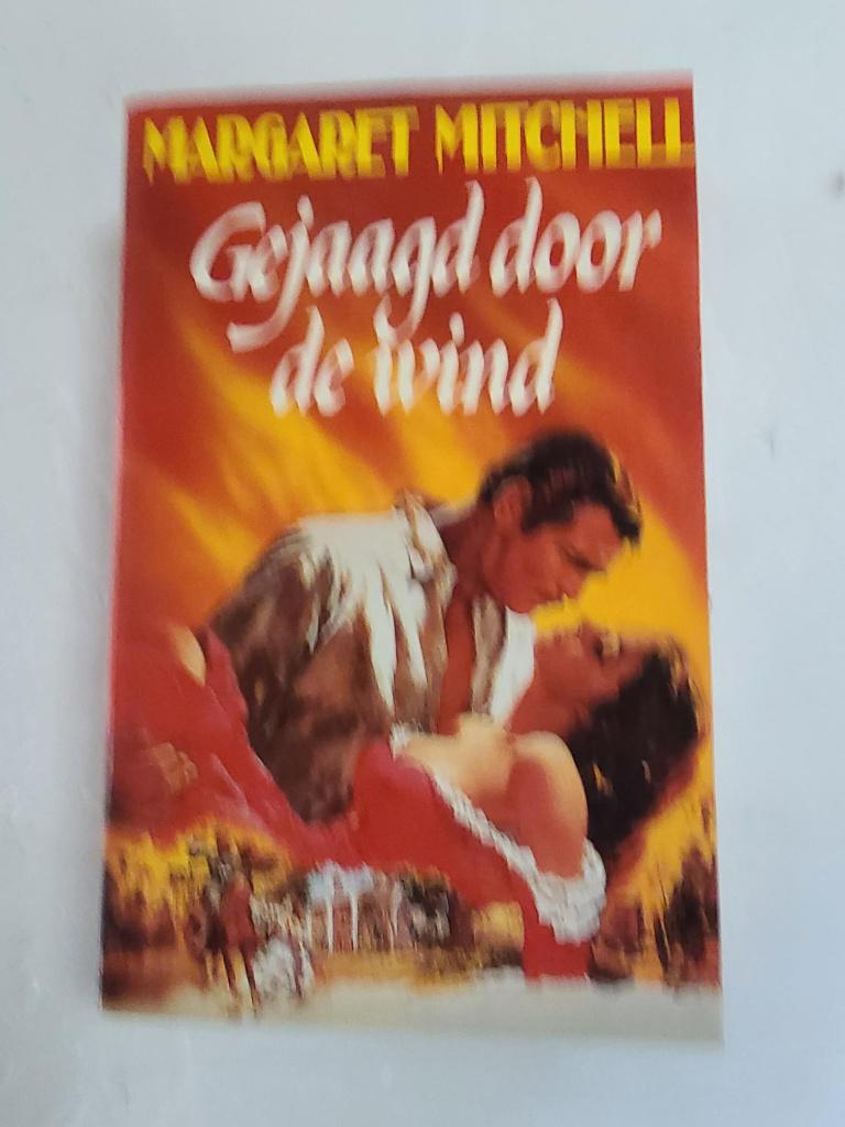 boek gejaagd door de wind, Boeken, Romans, Zo goed als nieuw, Ophalen of Verzenden