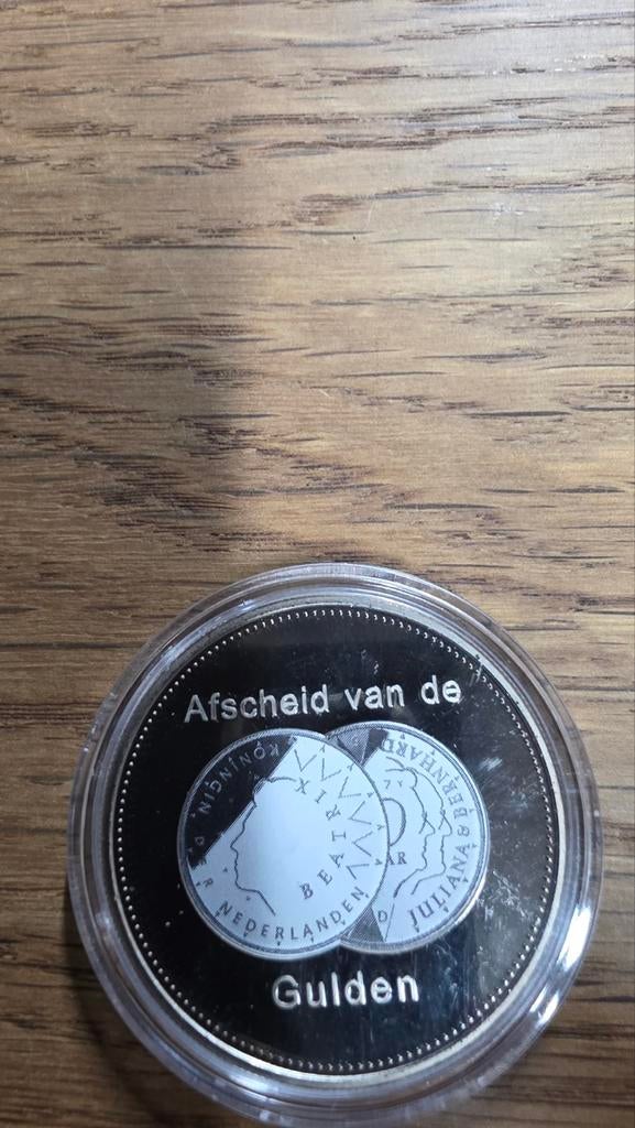 Afscheid van de Gulden -  Herdenkingsmunt, Ophalen of Verzenden, Koningin Beatrix, Losse munt