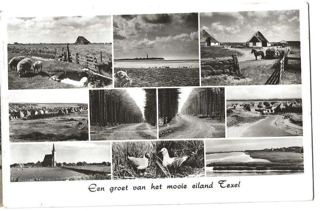 Jt28-192   Texel, Verzenden, 1940 tot 1960, Gelopen, Waddeneilanden