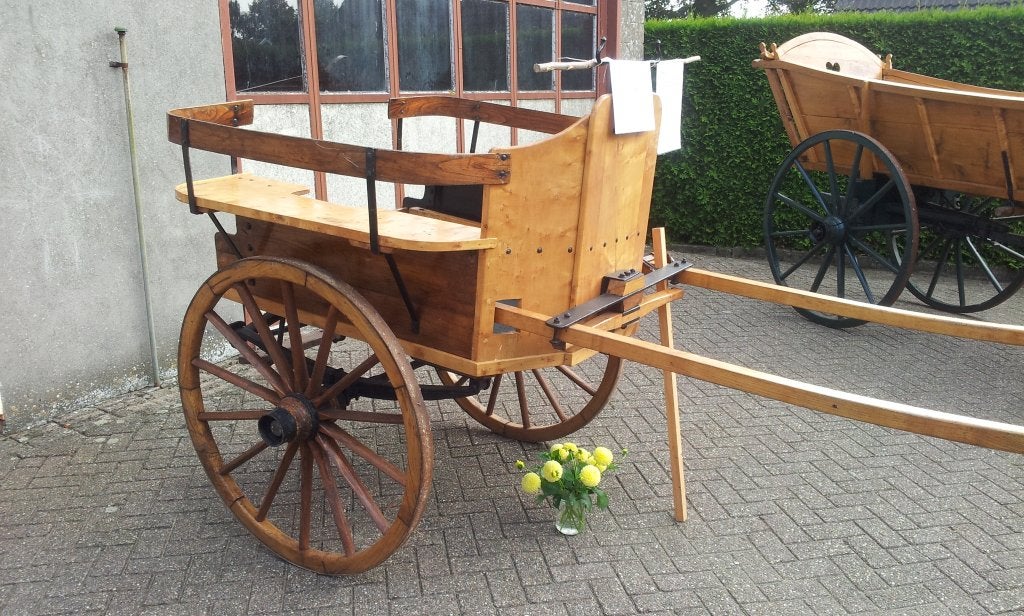 Rijtuig, koets, sjees te koop, Zo goed als nieuw, Overige typen, Paard of Pony