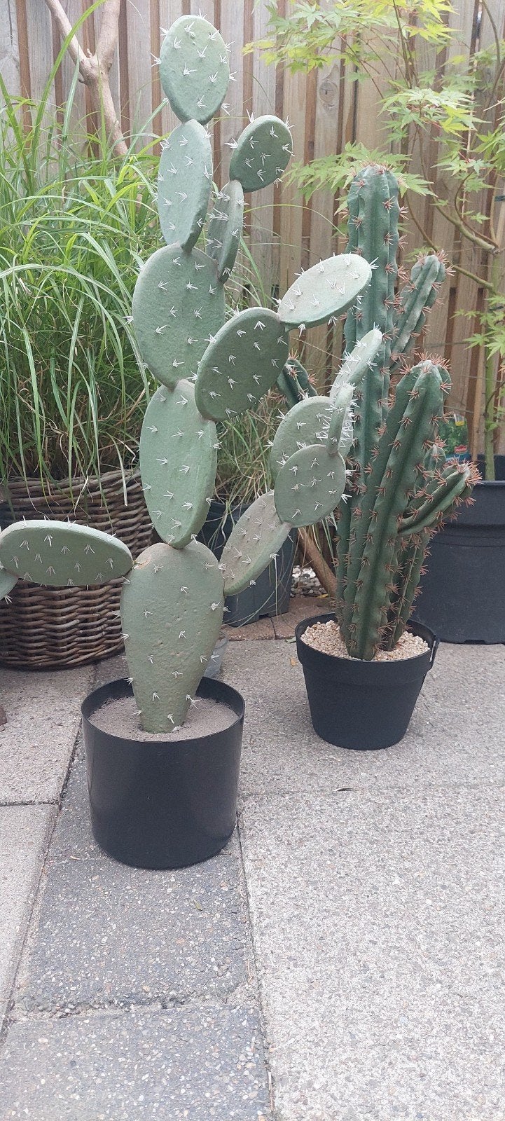 2 Kunst Cactussen - Decoratieve Nep Cactussen, Ophalen of Verzenden, Overige soorten, Volle zon
