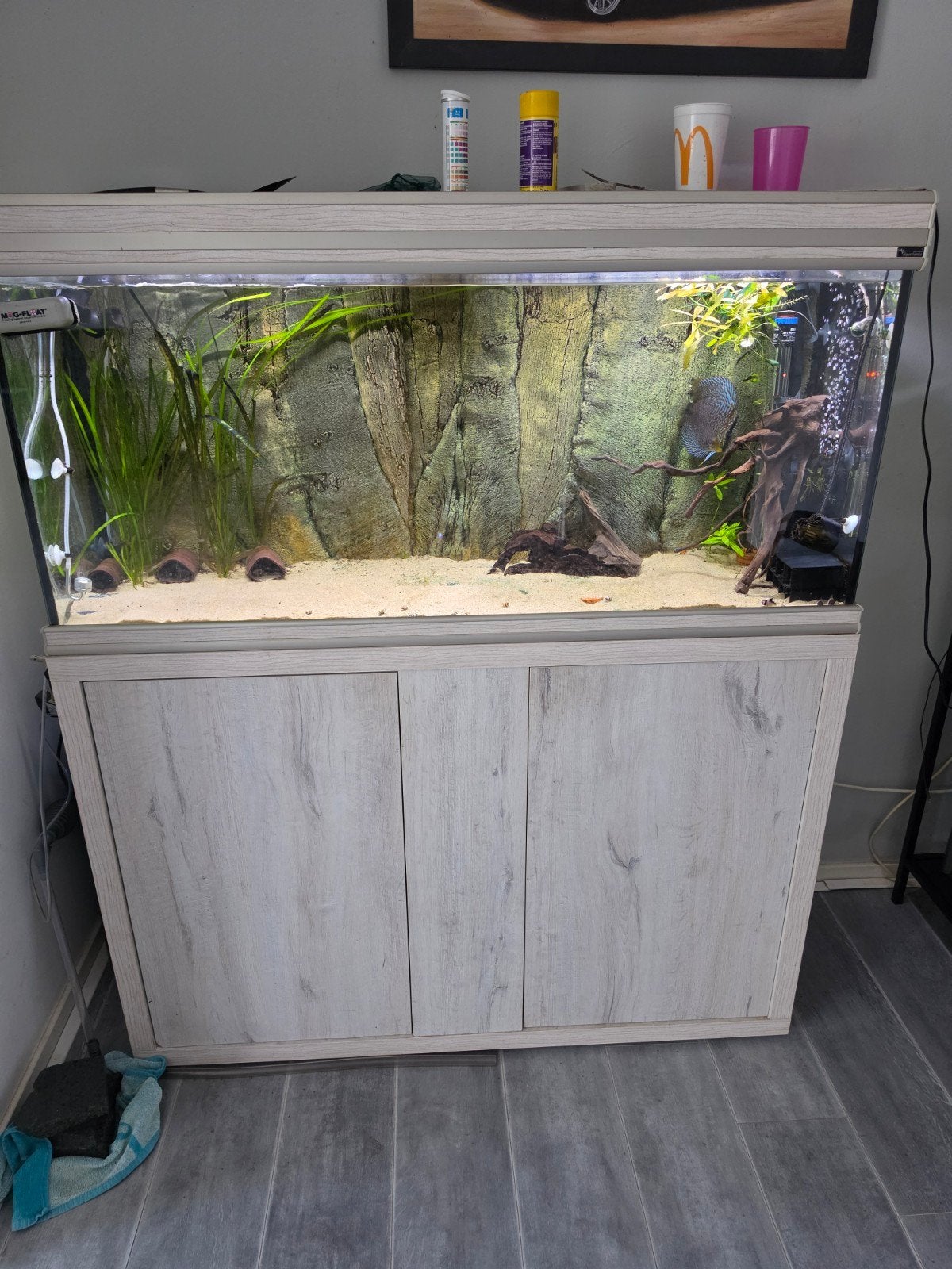 aqualantis 240.       b120xd38xh144, Dieren en Toebehoren, Ophalen, Gebruikt, Aquatlantis, Gevuld zoetwateraquarium