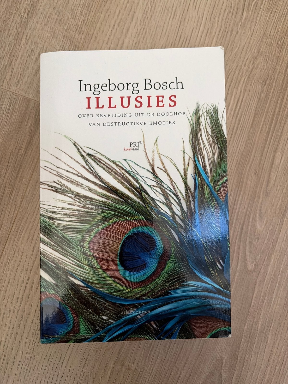 Ingeborg Bosch - Illusies: Over bevrijding uit de doolhof, Ophalen of Verzenden, Gelezen, Klinische psychologie