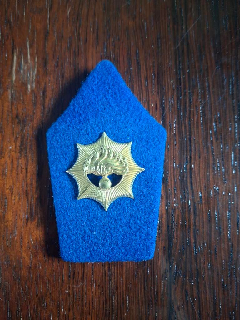 Kraagspiegel Rijkspolitie te Water - Origineel, Ophalen of Verzenden, Overige soorten, Nederland, Embleem of Badge