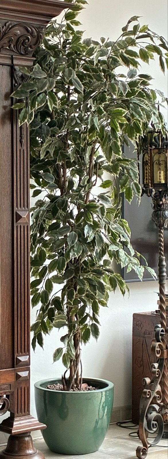 Grote kunstplant Ficus Benjamin met pot, Ophalen, Binnen, Groen, Kunstplant