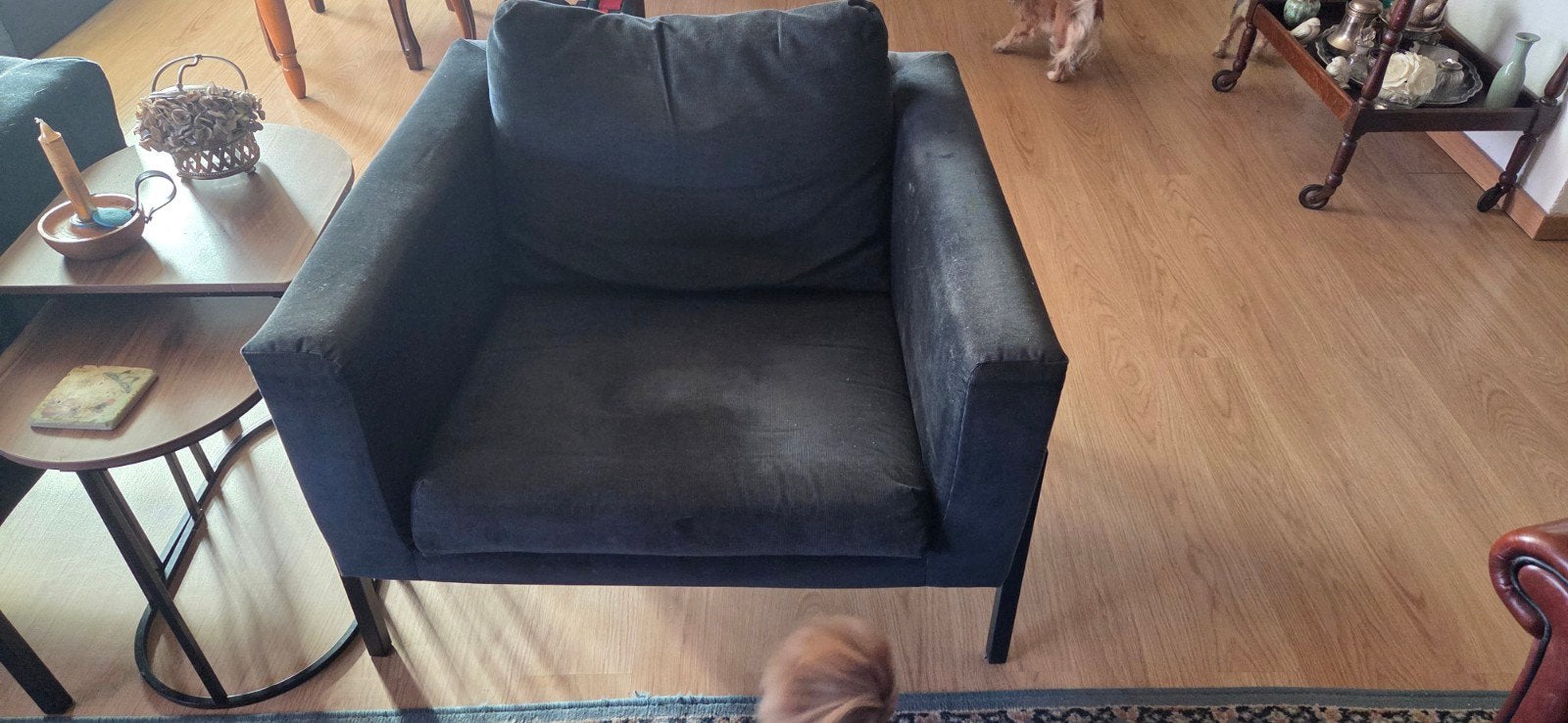 2x IKEA Koarp stoelen met blauwe bekleding, Ophalen, Gebruikt, Twee, Blauw