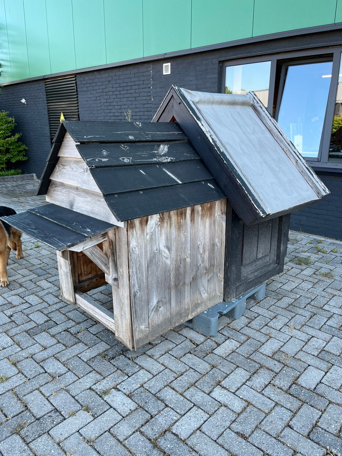 Houten hondenhok, GRATIS, Ophalen, 110 cm of meer, 100 cm of meer
