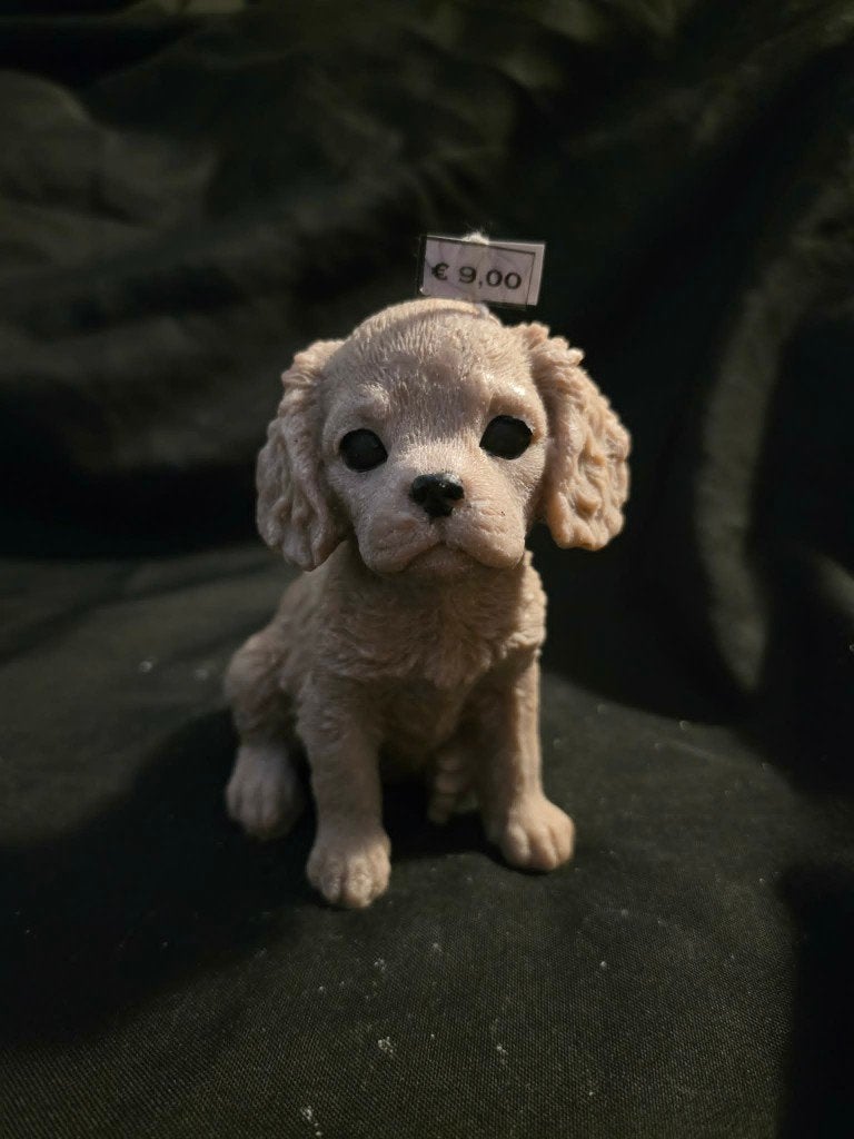 Sierkaars King Charles hondje, Ophalen of Verzenden, Nieuw, Dier