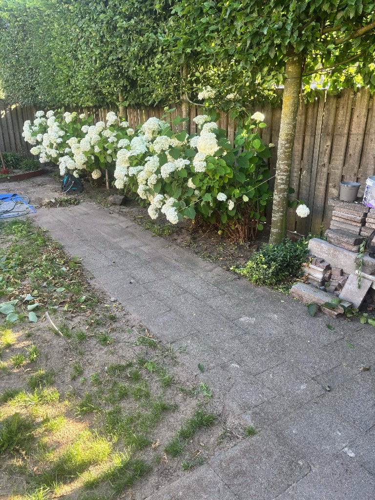 Tuintegels 6m² - GRATIS, Ophalen, Gebruikt, 5 tot 10 m², Beton