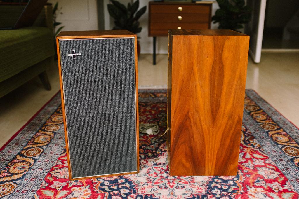 Philips 22GL566 speaker, Philips, Gebruikt, Ophalen of Verzenden, Minder dan 60 watt
