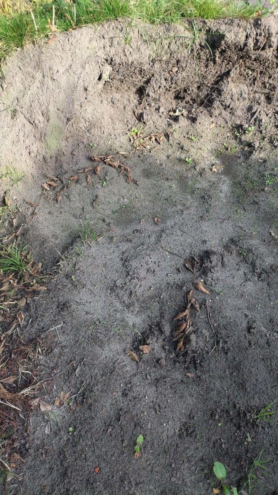 zwarte grond, Ophalen, Tuinaarde