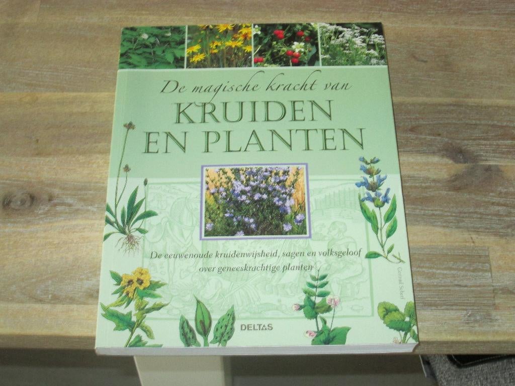de magische kracht van kruiden en planten Gertrud Scherf, Boeken, Ophalen of Verzenden, Nieuw, Kruiden en Alternatief