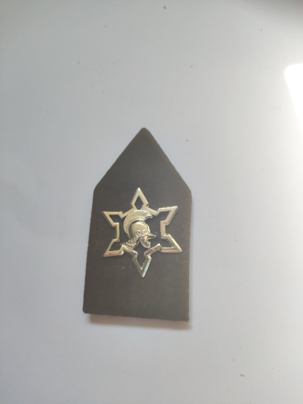 Kraagspiegel Opzichter fortificaties .Heb ook nog een pin, Ophalen of Verzenden, Landmacht, Nederland