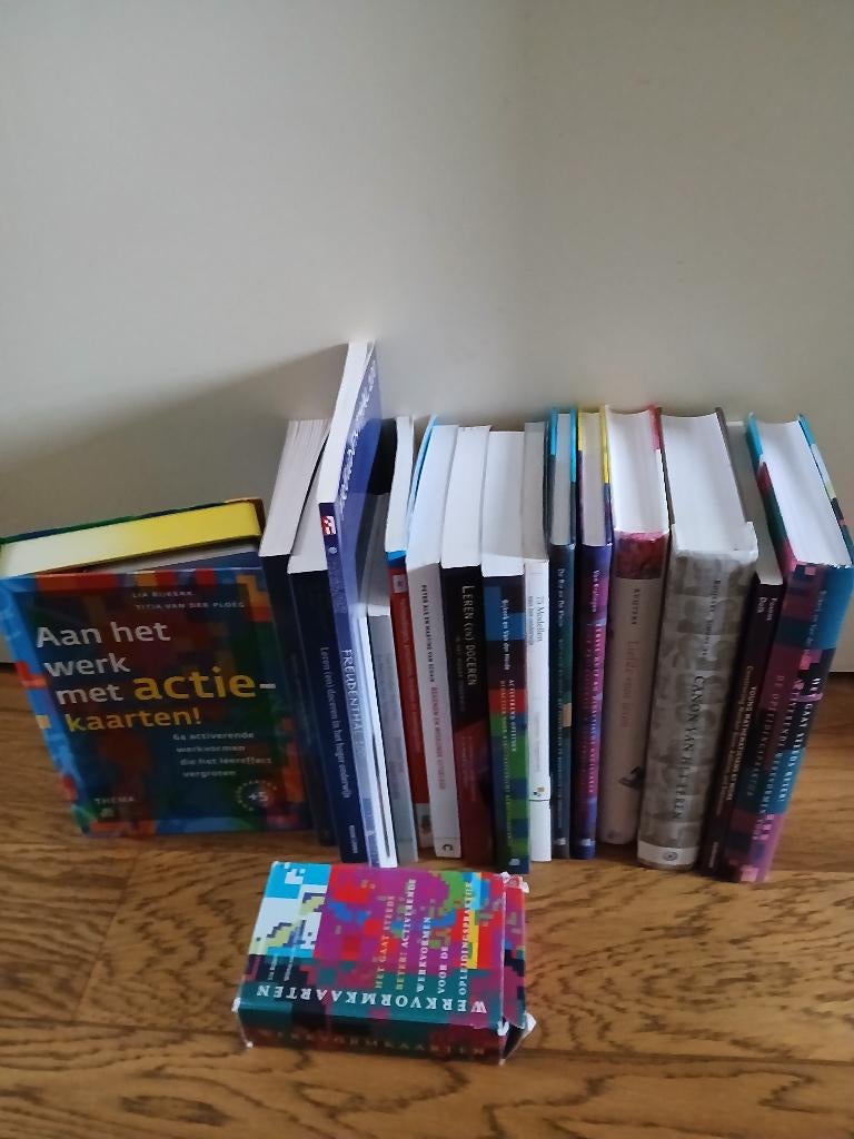 Studieboeken Onderwijs pabo leren opleiden, Boeken, Ophalen of Verzenden, Alpha, Zo goed als nieuw, HBO