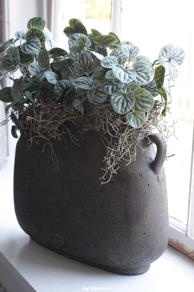 Bush Saintpaulia Dark Green., Www.jufbrocante.nl, Www.jufbrocante.nl, Nieuw, Ophalen of Verzenden