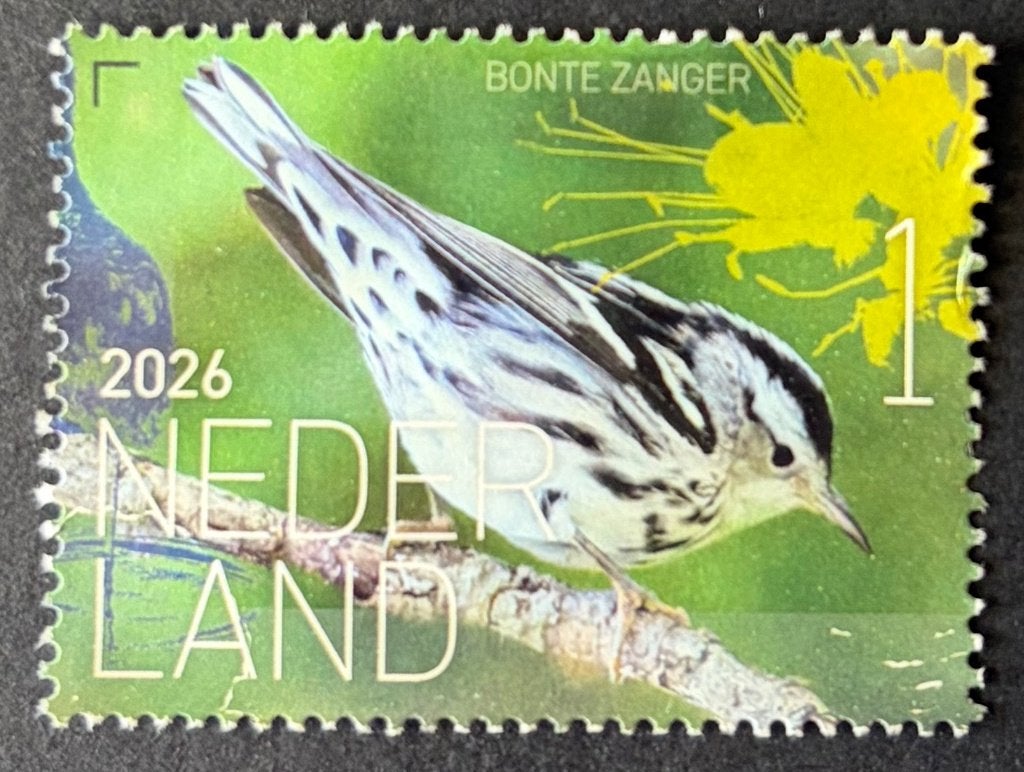Postzegel Nederland 2026 Saba vogel Bonte zanger gebruikt, Ophalen of Verzenden, Na 1940, Gestempeld