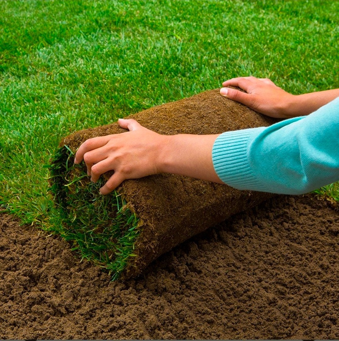 Gras aktie! 12,50 per m2 all in, Tuin en Terras, Ophalen, Nieuw, 10 tot 20 m², Gras