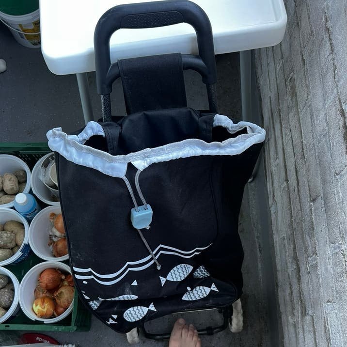 Boodschappentrolley, Ophalen of Verzenden, Zo goed als nieuw