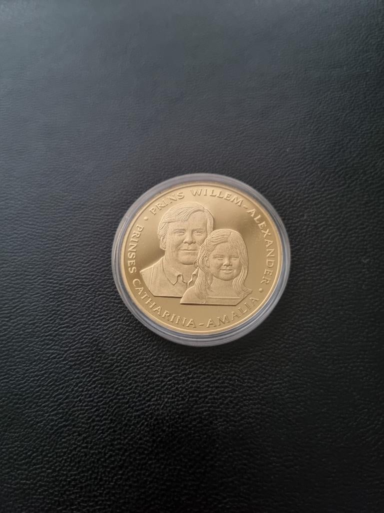Goudkleurige 10 Florin Willem-Alexander & Prinses Amalia, Ophalen of Verzenden, Koningin Beatrix, Overige waardes