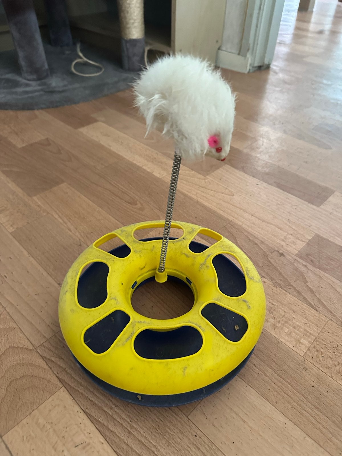 Katten speeltje, Dieren en Toebehoren, Kattenspeelgoed, Ophalen, Gebruikt, Speelhengel