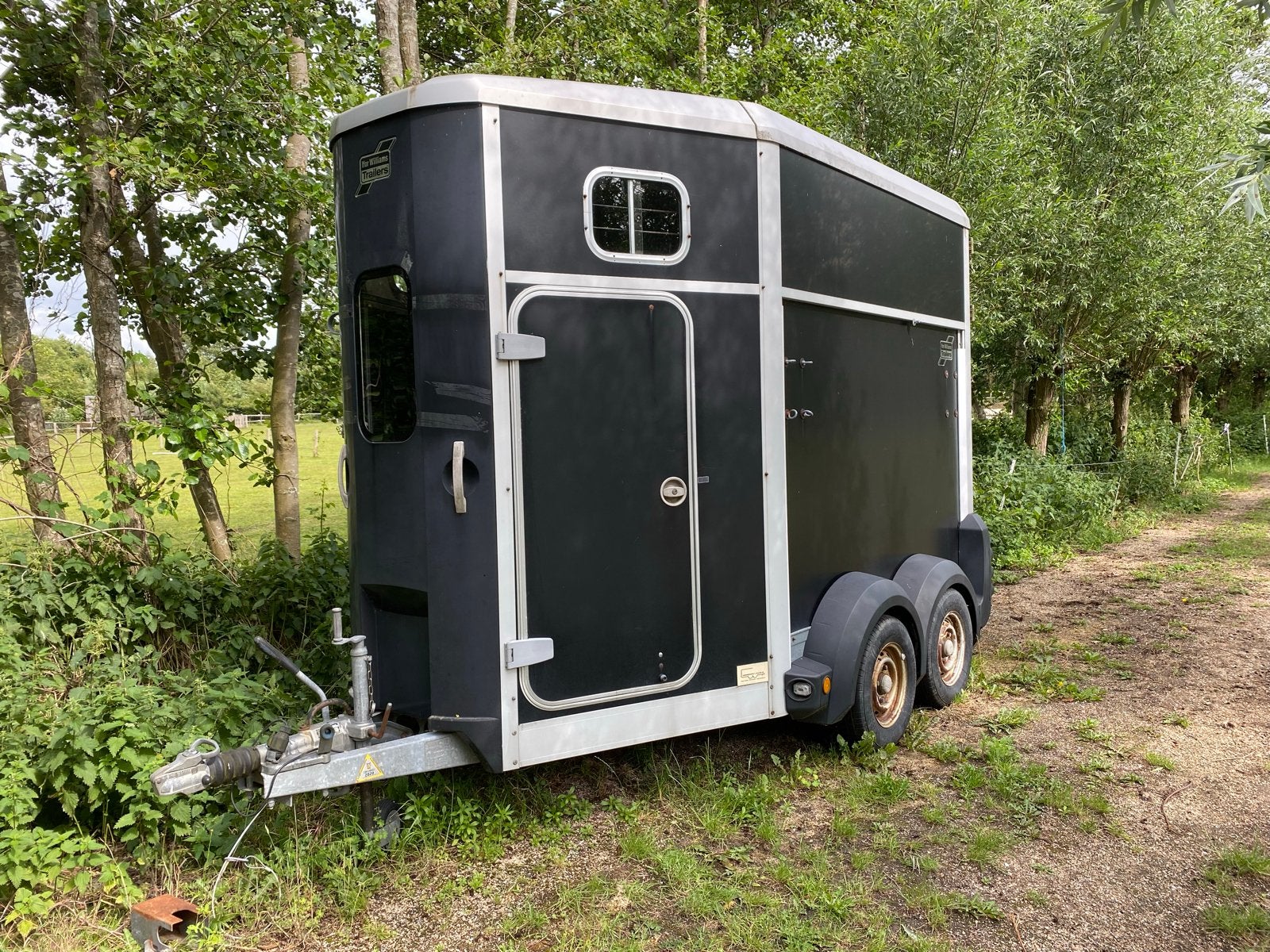 IFOR Williams - goed onderhouden, 2 paarden, vooruitloop, Ophalen, Gebruikt, Aluminium, 2-paards trailer