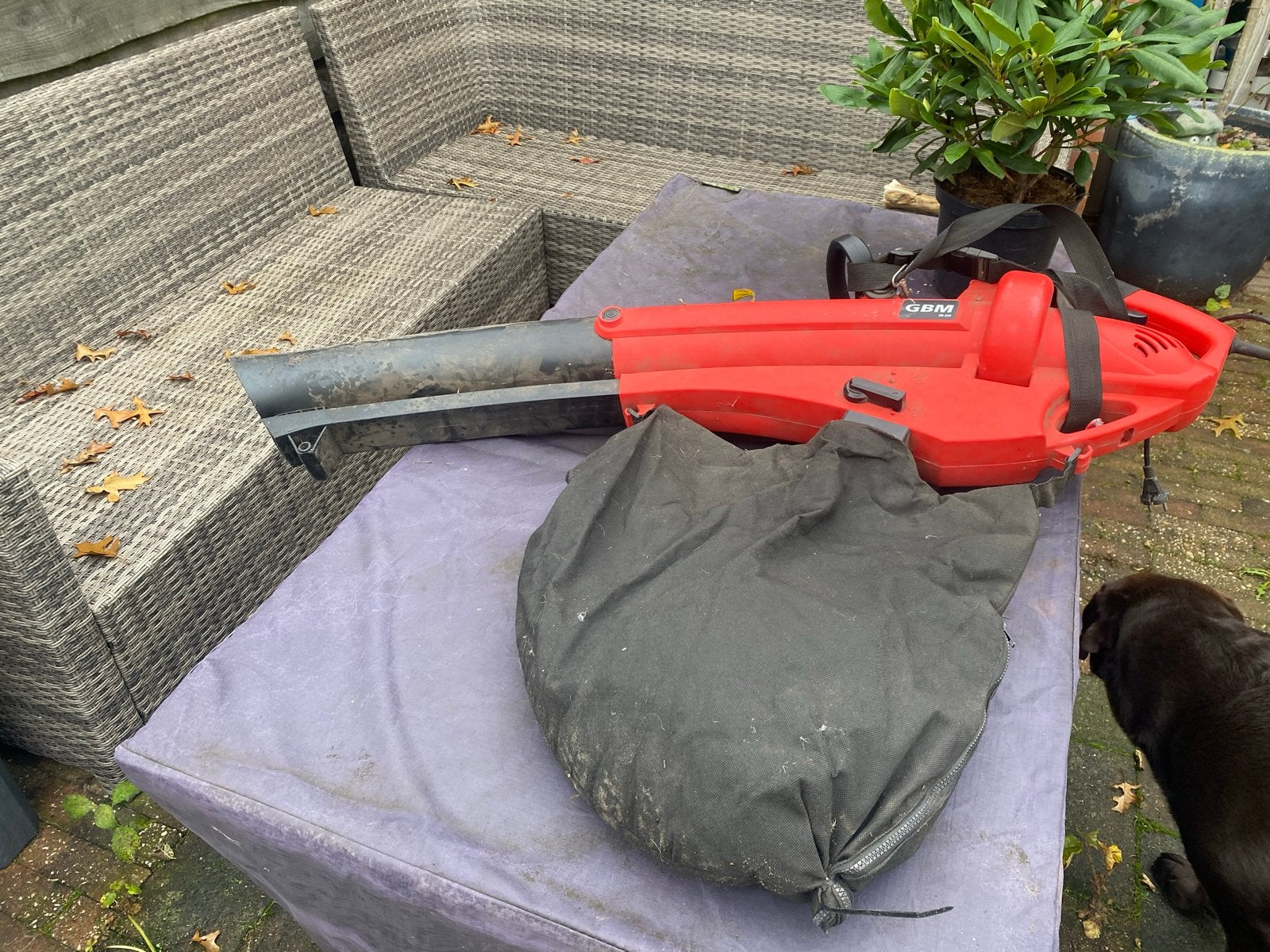 GBM Bladblazer BR-33V - Krachtig en Compleet, Ophalen, Gebruikt, Handgedragen, Met opvangzak