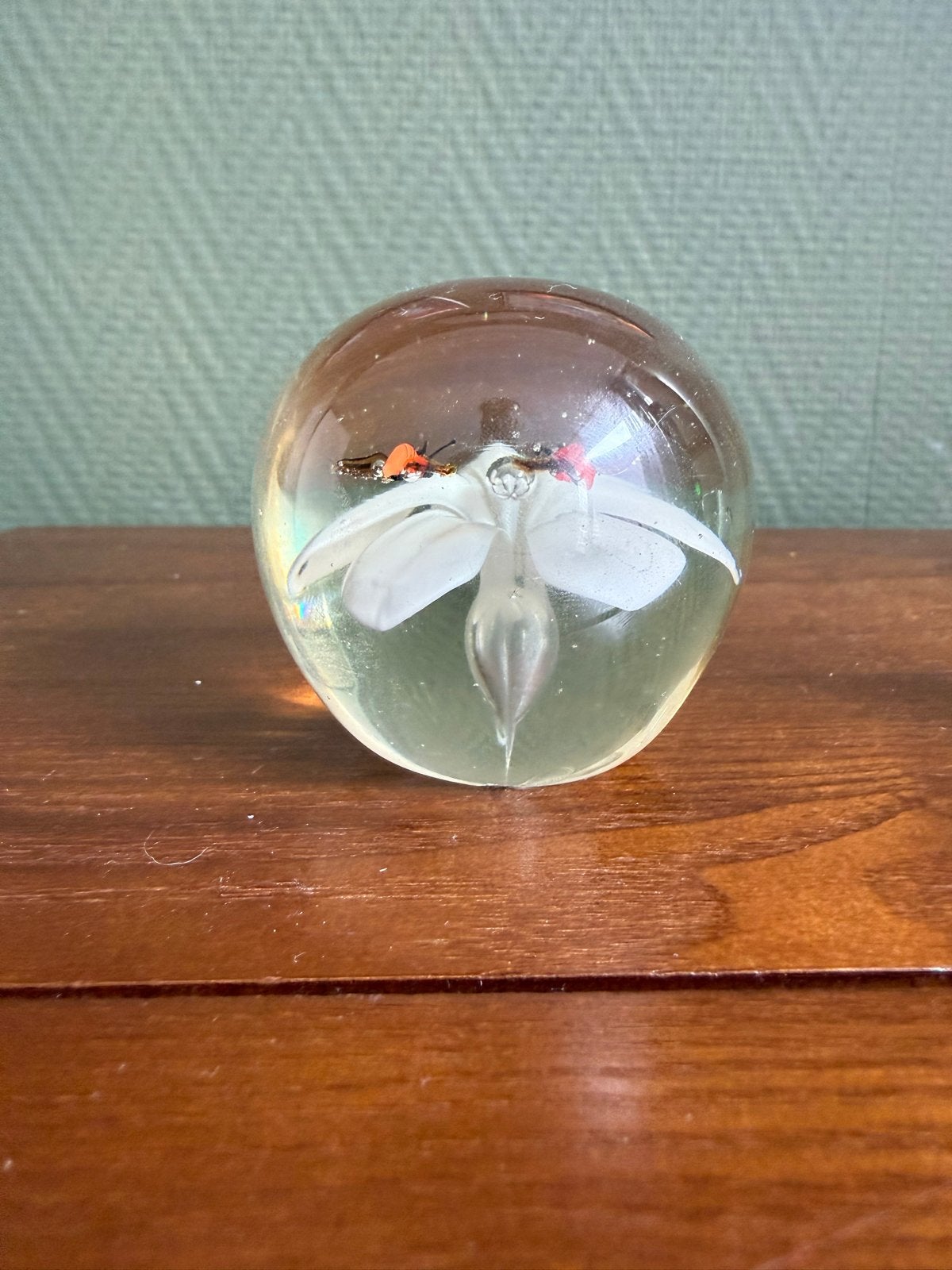 Glazen presse-papier met vlinder en bloem, Ophalen of Verzenden, Gebruikt, Meerkleurig, Glas