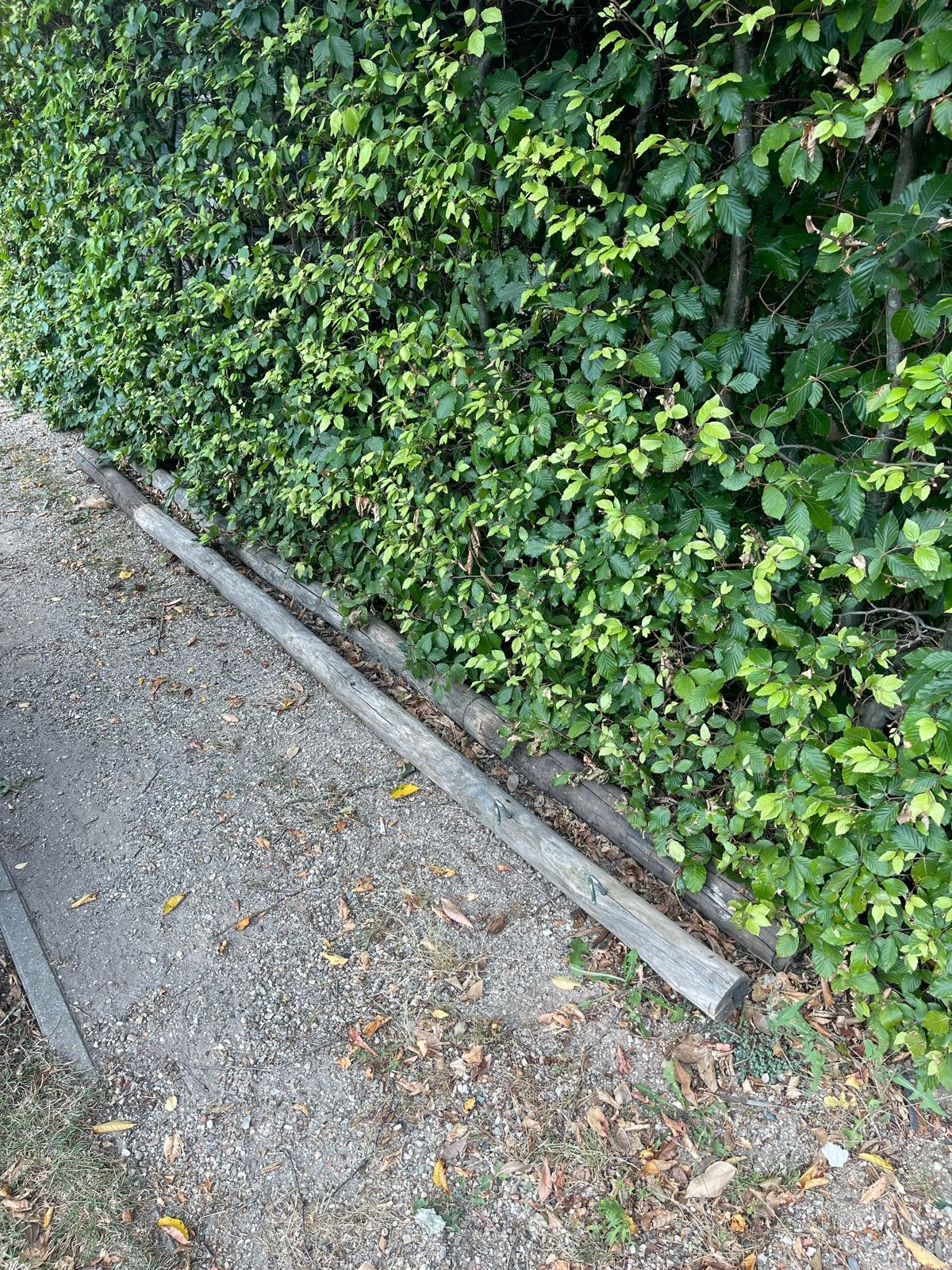 Houten palen voor tuin, Tuin en Terras, Palen, Balken en Planken, Ophalen, Gebruikt, 250 cm of meer, Palen