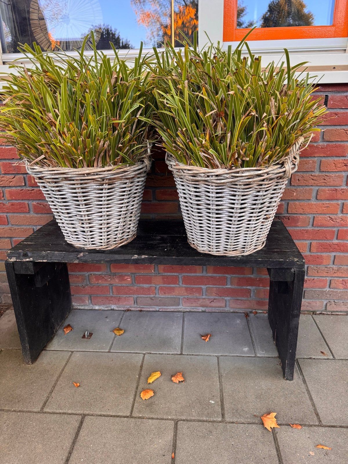 Twee rieten plantenmanden met planten incl bankje, Overige materialen, Gebruikt, Minder dan 60 cm, Rond