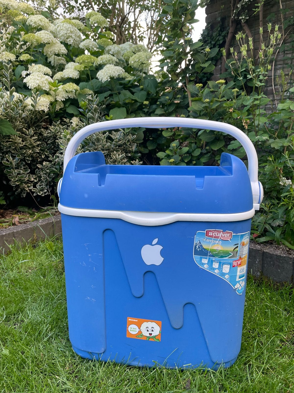 Koelbox Curver - Handige Koelbox voor onderweg, Ophalen, Gebruikt, Koelbox, Koelelement