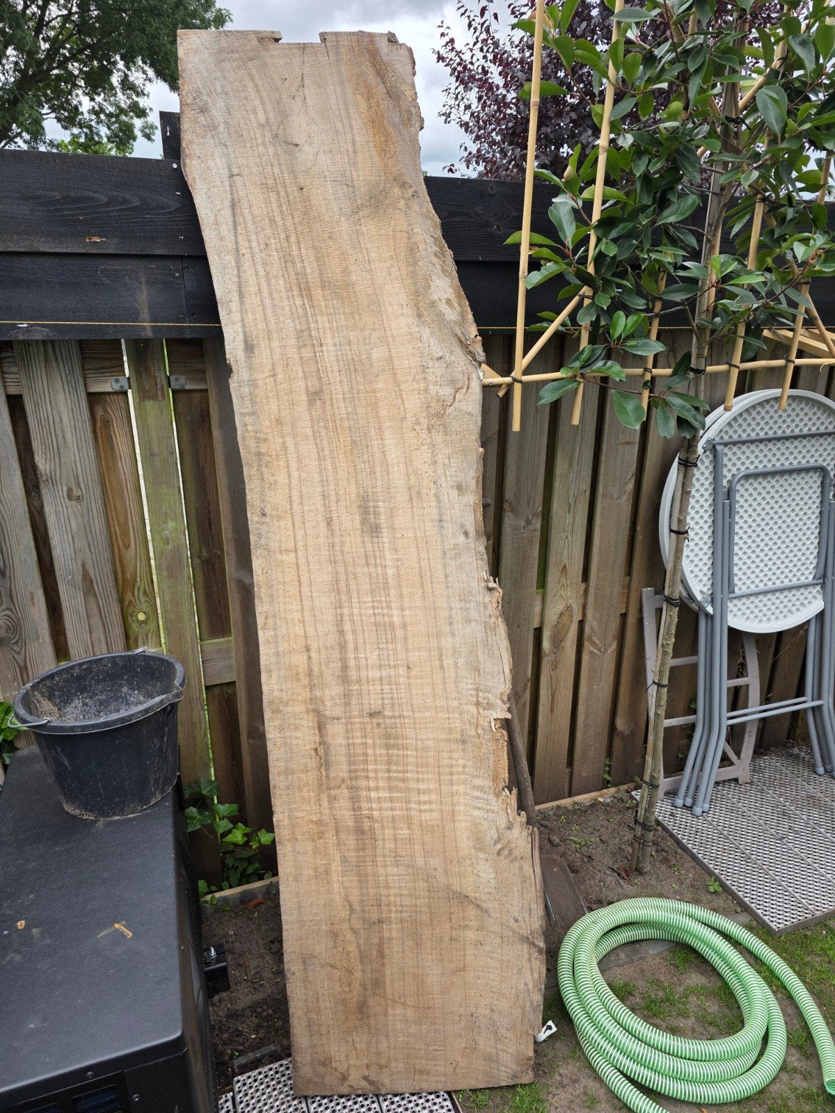 Massieve Eiken of beuken  Plank - Onbewerkt Hout voor Divers, Doe-het-zelf en Verbouw, Hout en Planken, Ophalen, Gebruikt, 25 tot 50 mm