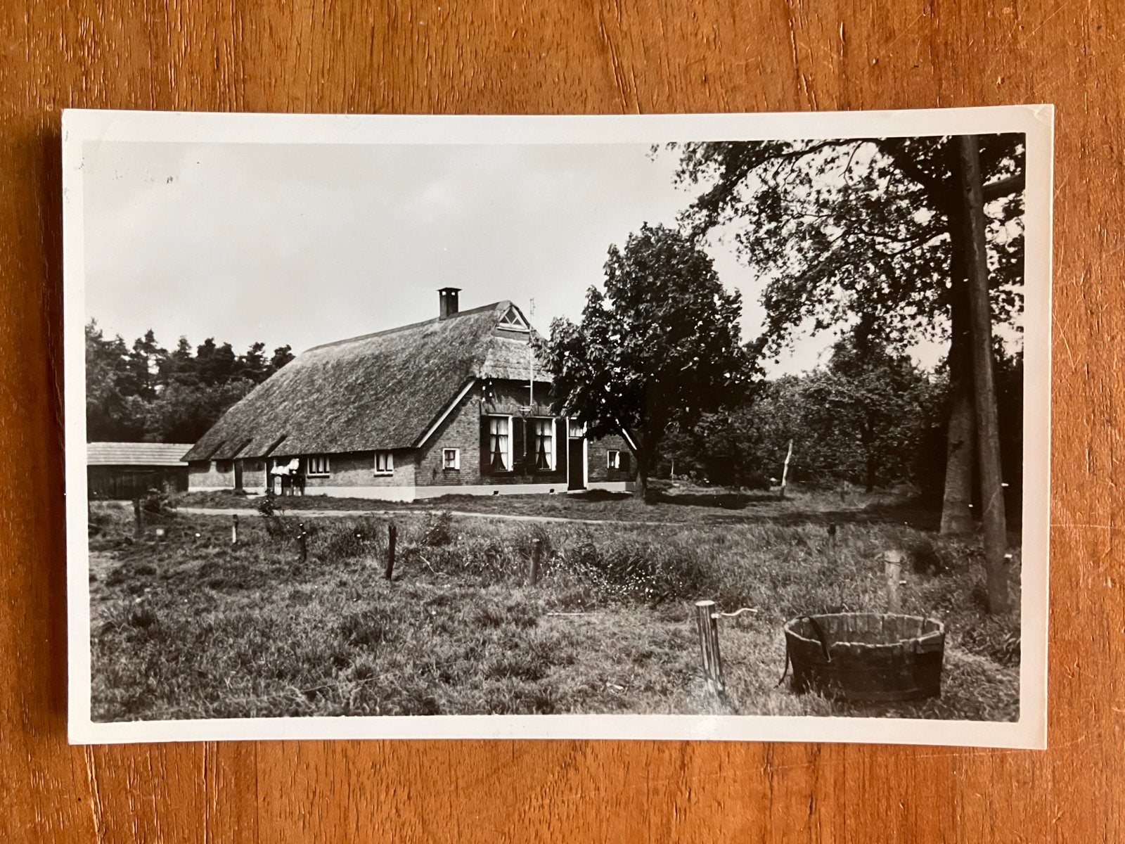 Camping De Kleine Wolf. Ommen 1968, Ophalen of Verzenden, 1960 tot 1980, Gelopen, Overijssel